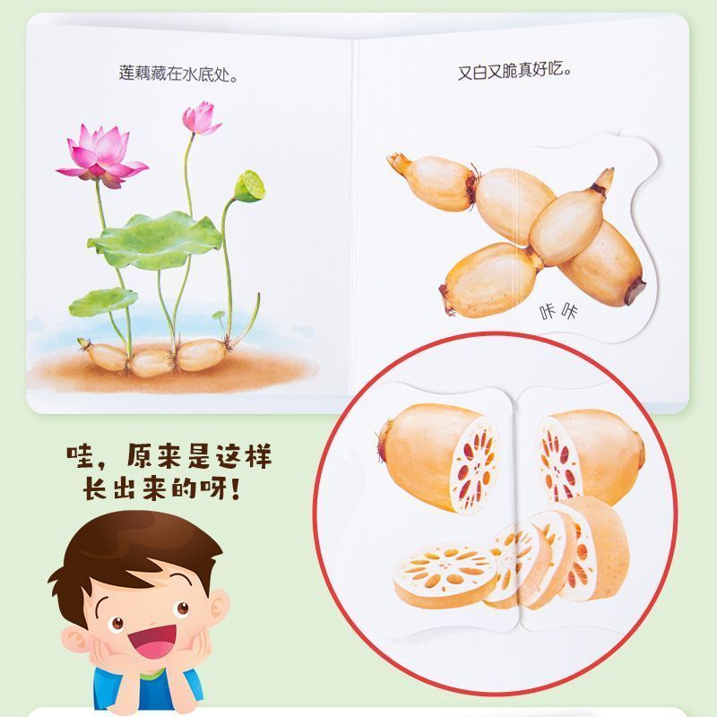 Infant Food Education Flipbook - Baby Food Age ulasan dan harga