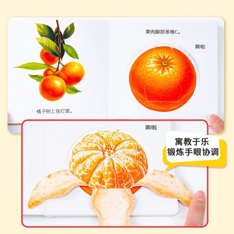 Infant Food Education Flipbook - Baby Food Age ulasan dan harga